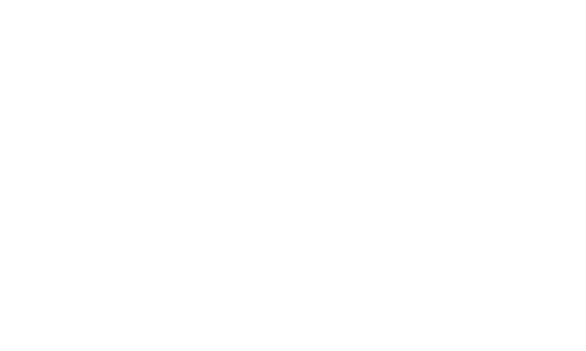 Elite Decorators